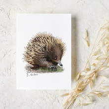Load image into Gallery viewer, AGCC1012: Echidna Card