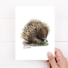 Load image into Gallery viewer, Charming & Unique Australian Native Echidna Poster, Tote Bag & Card Set