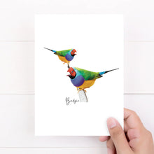 Load image into Gallery viewer, Vibrant & Colourful Australian Native Gouldian Finch Poster, Scarf & Card Set