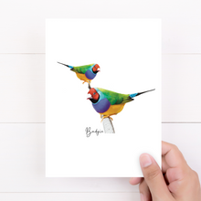 Load image into Gallery viewer, AGCC1015: Gouldian Finch Card