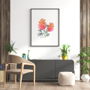 AGCP1000: Grevillea Flower Poster