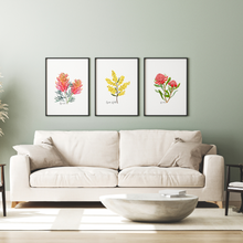 Load image into Gallery viewer, AGCP1000: Grevillea Flower Poster