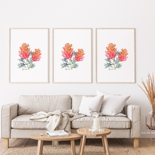 Load image into Gallery viewer, AGCP1000: Grevillea Flower Poster