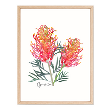 Load image into Gallery viewer, AGCP1000: Grevillea Flower Poster
