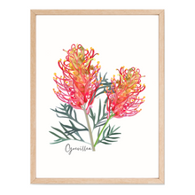 Load image into Gallery viewer, AGCP1000: Grevillea Flower Poster