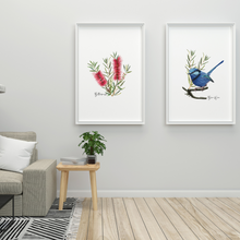 Load image into Gallery viewer, AGCP1001: Red: Bottlebrush Flower Poster