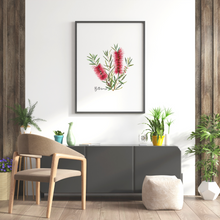 Load image into Gallery viewer, AGCP1001: Red: Bottlebrush Flower Poster