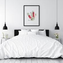 Load image into Gallery viewer, AGCP1001: Red: Bottlebrush Flower Poster
