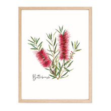 Load image into Gallery viewer, AGCP1001: Red: Bottlebrush Flower Poster