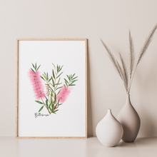 Load image into Gallery viewer, AGCP1002: Pink: Bottlebrush Flower Poster
