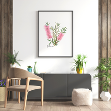 Load image into Gallery viewer, Poster | Bottlebrush Flower: Pink
