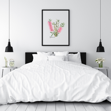 Load image into Gallery viewer, AGCP1002: Pink: Bottlebrush Flower Poster