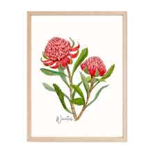 Load image into Gallery viewer, AGCP1003: Waratah Flower Poster
