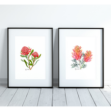 Load image into Gallery viewer, Bold & Vibrant Australian Native Grevillea and Waratah Poster | Set of 2