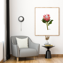 Load image into Gallery viewer, AGCP1004: Protea Flower Poster