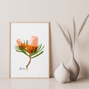 AGCP1005: Banksia Flower Poster
