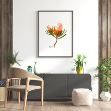 Load image into Gallery viewer, AGCP1005: Banksia Flower Poster