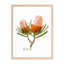 Load image into Gallery viewer, AGCP1005: Banksia Flower Poster
