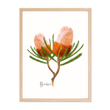 Load image into Gallery viewer, AGCP1005: Banksia Flower Poster