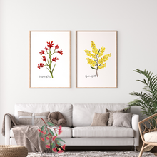 Load image into Gallery viewer, AGCP1006: Kangaroo Paw Flower Poster