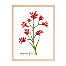 Load image into Gallery viewer, AGCP1006: Kangaroo Paw Flower Poster