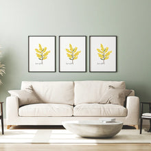 Load image into Gallery viewer, Warm & Radiant Australian Native Golden Wattle Poster | Set of 3