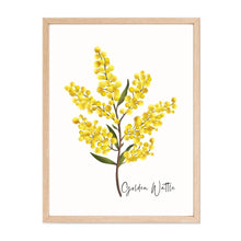 Load image into Gallery viewer, Bold & Striking Australian Native Banksia and Wattle Poster | Set of 2