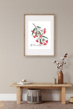 Load image into Gallery viewer, AGCP1008: Red Flowering Gum Poster