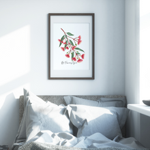 Load image into Gallery viewer, AGCP1008: Red Flowering Gum Poster