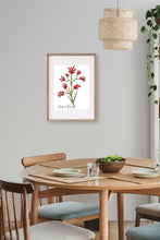 Load image into Gallery viewer, AGCP1009: Kangaroo Poster