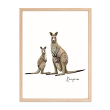 Load image into Gallery viewer, AGCP1009: Kangaroo Poster
