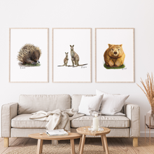 Load image into Gallery viewer, AGCP1011: Wombat Poster