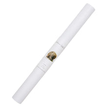 Load image into Gallery viewer, Charming & Unique Australian Native Echidna Poster, Tote Bag & Card Set