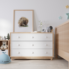 Load image into Gallery viewer, AGCP1012: Echidna Poster