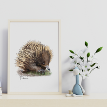 Load image into Gallery viewer, AGCP1012: Echidna Poster