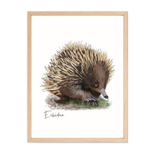 Load image into Gallery viewer, AGCP1012: Echidna Poster