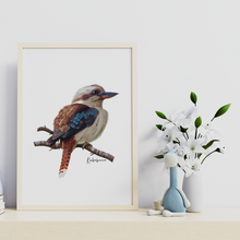 Load image into Gallery viewer, AGCP1013: Kookaburra Poster