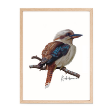 Load image into Gallery viewer, AGCP1013: Kookaburra Poster