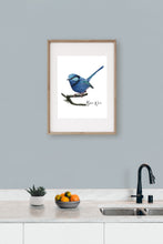 Load image into Gallery viewer, AGCP1014: Blue Wren Poster
