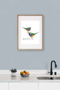 AGCP1015: Gouldian Finch Poster