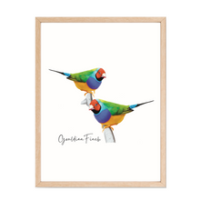 Load image into Gallery viewer, Poster | Gouldian Finch
