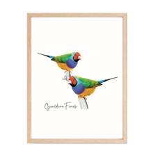 Load image into Gallery viewer, AGCP1015: Gouldian Finch Poster