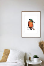 Load image into Gallery viewer, AGCP1016: Kingfisher Poster