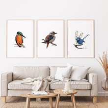Load image into Gallery viewer, AGCP1016: Kingfisher Poster