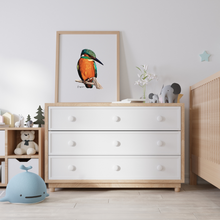 Load image into Gallery viewer, AGCP1016: Kingfisher Poster