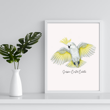 Load image into Gallery viewer, AGCP1018: Sulphur Crested Cockatoo Poster