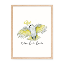 Load image into Gallery viewer, AGCP1018: Sulphur Crested Cockatoo Poster