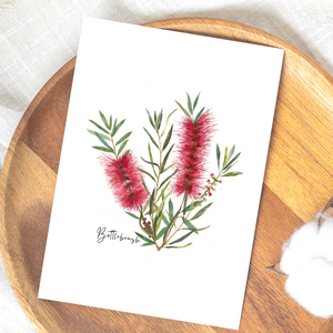 Card | Bottlebrush Flower: Red