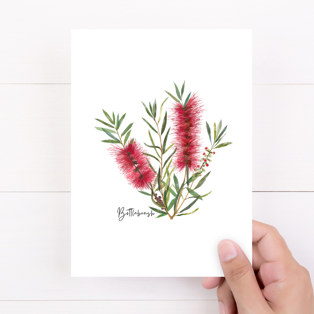 Card | Bottlebrush Flower: Red