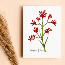 Load image into Gallery viewer, AGCC1006: Kangaroo Paw Flower Card
